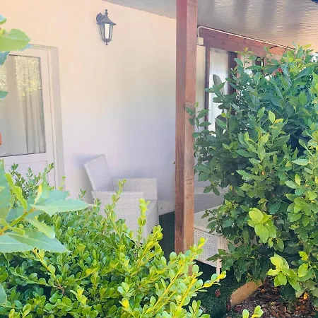 Madera Blanca 산니칸드로 가르가니코