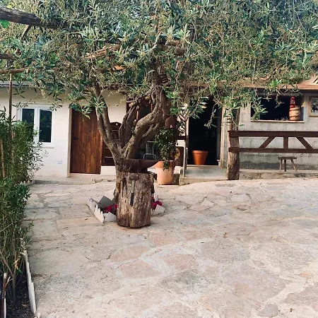 Madera Blanca Alojamento de Acomodação e Pequeno-almoço 3*