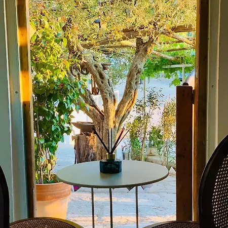 Madera Blanca San Nicandro Garganico