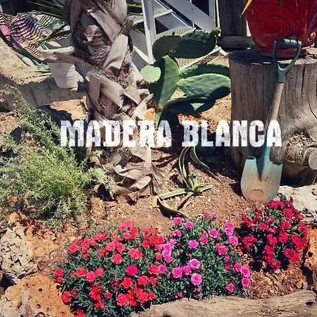 Madera Blanca San Nicandro Garganico