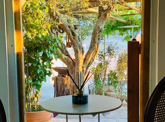 Madera Blanca San Nicandro Garganico